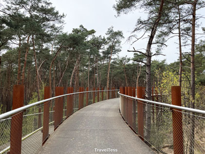 Fietsen tussen de bomen bij Nationaal Park Bosland