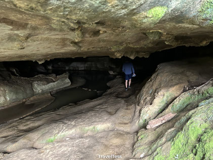 Waipu Caves betreden