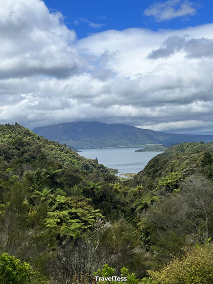 Vallei Waimangu Volcanic Valley