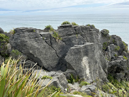 Pancake Rocks Nieuw-Zeeland