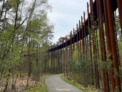 Fietsen tussen de bomen bij Nationaal Park Bosland