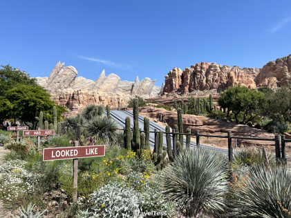 Cars attractie in Disneyland