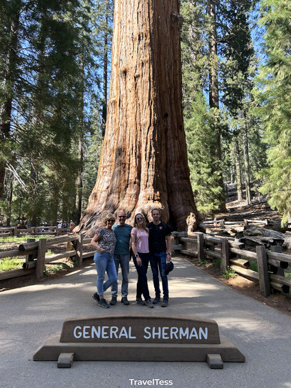 General Sherman Tree
