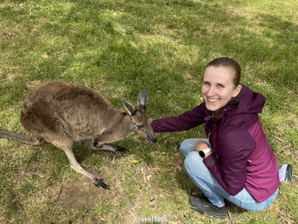 Cleland Wildlife park