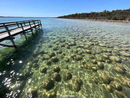 Clifton Thrombolites Lake west-australie