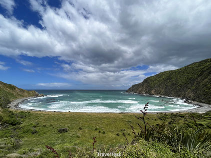 Roaring Bay Penguins & Seals Observatory