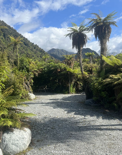 Groene camping Franz Josef