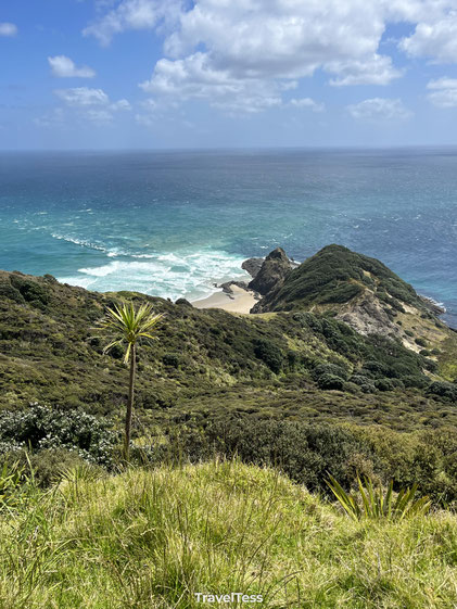Cape Reinga kust