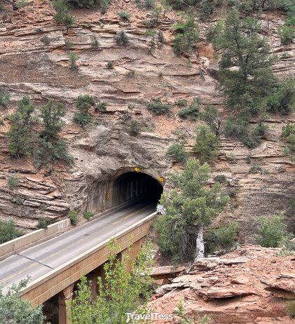 Zion tunnel
