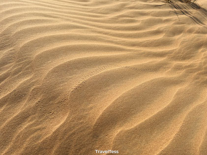 Desert safari in Dubai