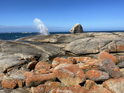 Bicheno Blowhole