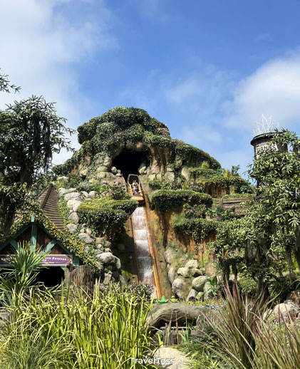 Waterachtbaan Disneyland