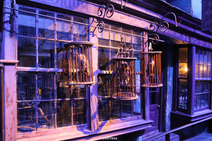 Wegisweg Harry Potter Studio