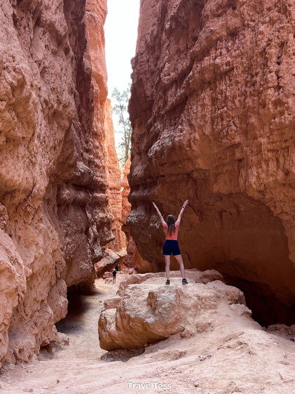 Navajo Loop Trail
