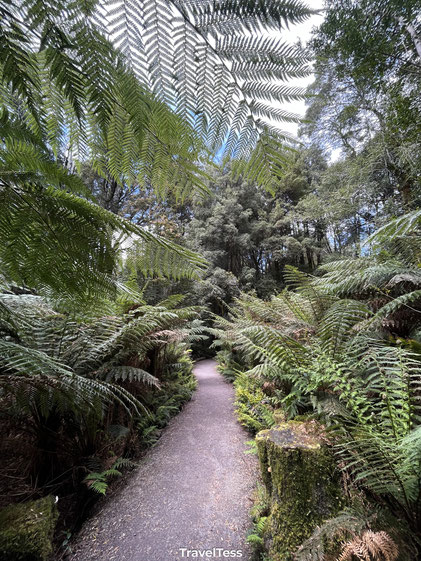 Wandelpad Nelson Falls
