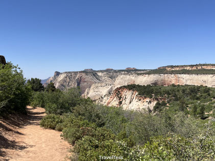 Observation Point Trail