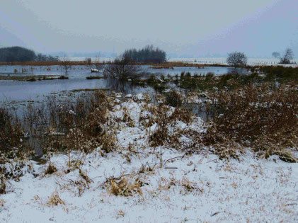 Siersdorfer Senke im Februar 2017 (Foto: Wolfgang Voigt)