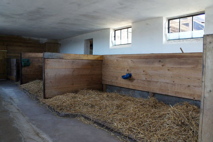 2013: Erste Umbauten und Erfahrungen mit dem Konzept des Laufstalls.