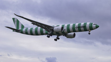 --- Airbus A330-900N --- D-ANRE --- First Flight: 2023 --- MSN: 1971 --- Frankfurt Rhein-Main (FRA - EDDF) 2023