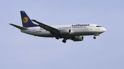 --- Boeing 737-300 --- D-ABEC --- First Flight: 1991 --- MSN: 25149 --- Frankfurt Rhein-Main (FRA - EDDF) 2005