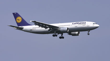 --- Airbus A300-600 --- D-AIAK --- First Flight: 1987 --- MSN: 401 --- Frankfurt Rhein-Main (FRA - EDDF) 2005