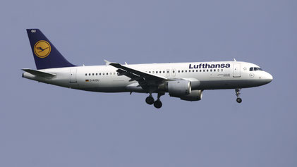 --- Airbus A320-200 --- D-AIQU --- First Flight: 2000 --- MSN: 1365 --- Frankfurt Rhein-Main (FRA - EDDF) 2005