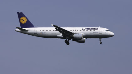 --- Airbus A320-200 --- D-AIPF --- First Flight: 1989 --- MSN: 83 --- Frankfurt Rhein-Main (FRA - EDDF) 2005