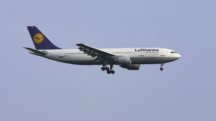--- Airbus A300-600 --- D-AIAL --- First Flight: 1987 --- MSN: 405 --- Frankfurt Rhein-Main (FRA - EDDF) 2005