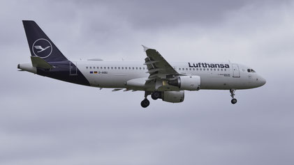 --- Airbus A320-200 --- D-AIQU --- First Flight: 2000 --- MSN: 1365 --- Frankfurt Rhein-Main (FRA - EDDF) 2023