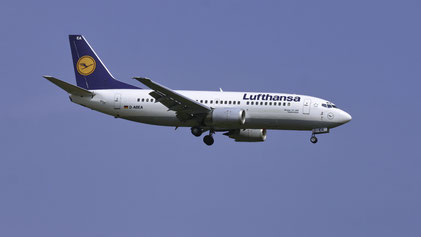 --- Boeing 737-300 --- D-ABEA --- First Flight: 1990 --- MSN: 24565 --- Frankfurt Rhein-Main (FRA - EDDF) 2005