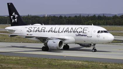 --- Airbus A319-100 --- D-AILF (*2) --- First Flight: 1996 --- MSN: 636 --- "Star Alliance" --- Frankfurt Rhein-Main (FRA - EDDF) 2019