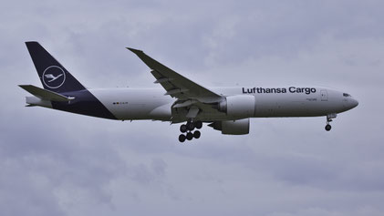 --- Boeing 777-FBT --- D-ALFE (*2) --- First Flight: 2015 --- MSN: 41678 --- Frankfurt Rhein-Main (FRA - EDDF) 2023