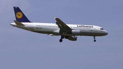 --- Airbus A320-200 --- D-AIQN --- First Flight: 1991 --- MSN: 269 --- Frankfurt Rhein-Main (FRA - EDDF) 2005