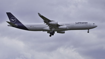 --- Airbus A340-300 --- D-AIFF (*2) --- First Flight: 2001 --- MSN: 477 --- Frankfurt Rhein-Main (FRA - EDDF) 2023