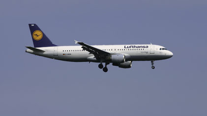 --- Airbus A320-200 --- D-AIQA --- First Flight: 1991 --- MSN: 172 --- Frankfurt Rhein-Main (FRA - EDDF) 2005