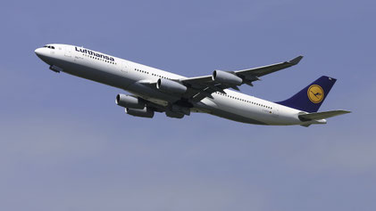 --- Airbus A340-300 --- D-AIFA --- First Flight: 2000 --- MSN: 352 --- Frankfurt Rhein-Main (FRA - EDDF) 2005