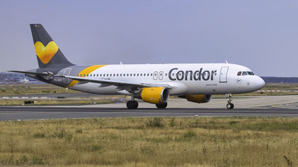 --- Airbus A320-200 --- D-AICF --- First Flight: 1998 --- MSN: 905 --- Frankfurt Rhein-Main (FRA - EDDF) 2019