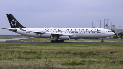 --- Airbus A340-300 --- D-AIGW (*2) --- First Flight: 2000 --- MSN: 327 --- "Star Alliance" --- Frankfurt Rhein-Main (FRA - EDDF) 2023