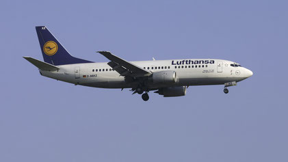 --- Boeing 737-300 --- D-ABXZ --- First Flight: 1990 --- MSN: 24564 --- Frankfurt Rhein-Main (FRA - EDDF) 2007