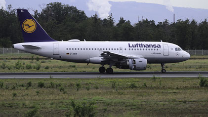 --- Airbus A319-100 --- D-AIBA --- First Flight: 2009 --- MSN: 4141 --- Frankfurt Rhein-Main (FRA - EDDF) 2023