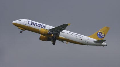 --- Airbus A320-200 --- D-AICD --- First Flight: 1998 --- MSN: 884 --- "Condor Berlin" --- Dusseldorf Rhein-Ruhr (DUS - EDDL) 2005