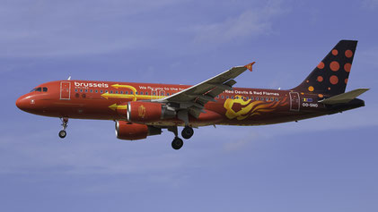 "Airbus" "A320" "OO-SNO" "2009" "3831" "BRU" "EBBR" "2023"