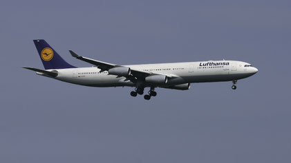 --- Airbus A340-300 --- D-AIFB --- First Flight: 2000 --- MSN: 355 --- Frankfurt Rhein-Main (FRA - EDDF) 2005