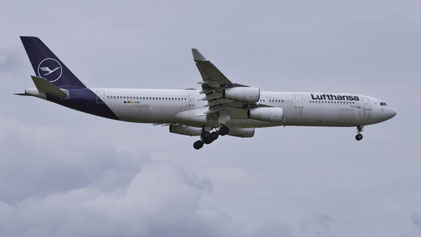 --- Airbus A340-300 --- D-AIGM (*2) --- First Flight: 1997 --- MSN: 158 --- Frankfurt Rhein-Main (FRA - EDDF) 2023