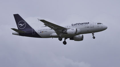 --- Airbus A319-100 --- D-AILL --- First Flight: 1997 --- MSN: 689 --- Frankfurt Rhein-Main (FRA - EDDF) 2023