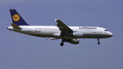--- Airbus A320-200 --- D-AIPY --- First Flight: 1991 --- MSN: 161 --- Frankfurt Rhein-Main (FRA - EDDF) 2005