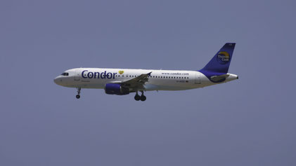 --- Airbus A320-200 --- D-AICB --- First Flight: 1998 --- MSN: 793 --- "Condor Berlin" --- Tenerife Sur - Reina Sofia (TFS - GCTS) 2006
