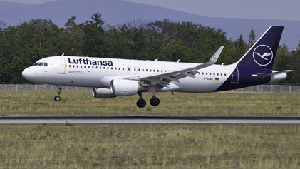 Airbus A320-200"Sharklets" --- D-AIWE --- First Flight: 2019 --- MSN: 8680 Frankfurt Rhein-Main (FRA - EDDF) 2019