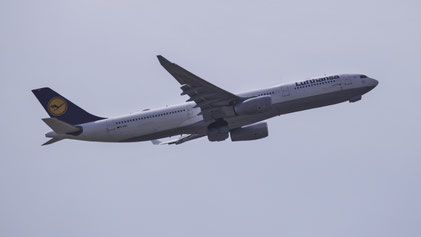 --- Airbus A330-300 --- D-AIKK --- First Flight: 2008 --- MSN: 896 --- Frankfurt Rhein-Main (FRA - EDDF) 2019