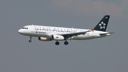 ---- Airbus A320-200 ---- EC-INM ---- First Flight: 2003 ---- MSN: 1979 ---- "Star Alliance" --- Frankfurt Rhein-Main (FRA - EDDF) 2007